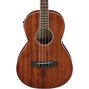 Ibanez PNB14E Acoustic Electric Bass Open Pore Natural